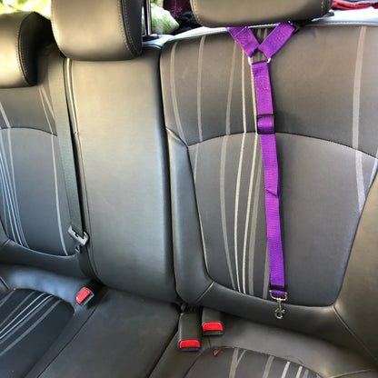 Car Backseat Safety Belt Solid Color Two-in-one Pet