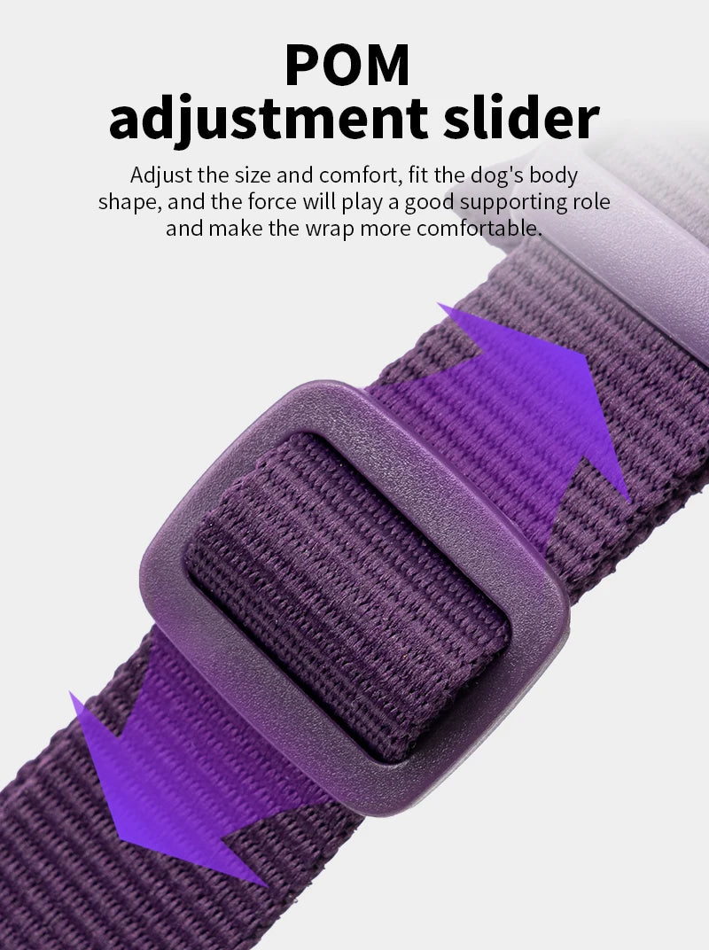 No-Pull Dog Harness – Reflective, Padded & Escape-Proof for All Sizes