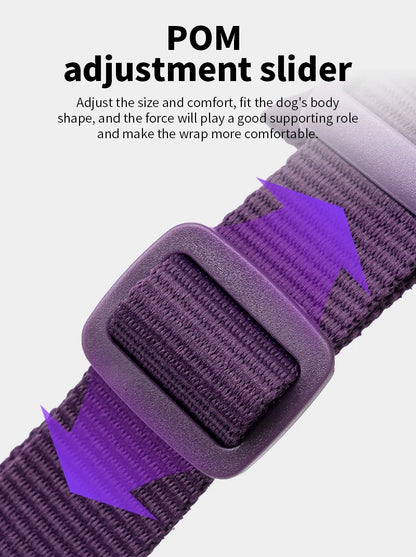 Dog Harness, No Pull, Reflective, All Sizes