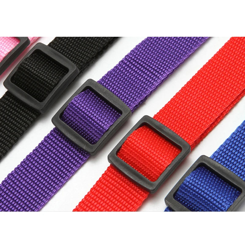 Car Backseat Safety Belt Solid Color Two-in-one Pet