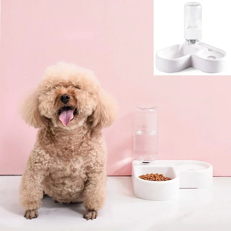 Automatic Pet Feeder & Water Dispenser