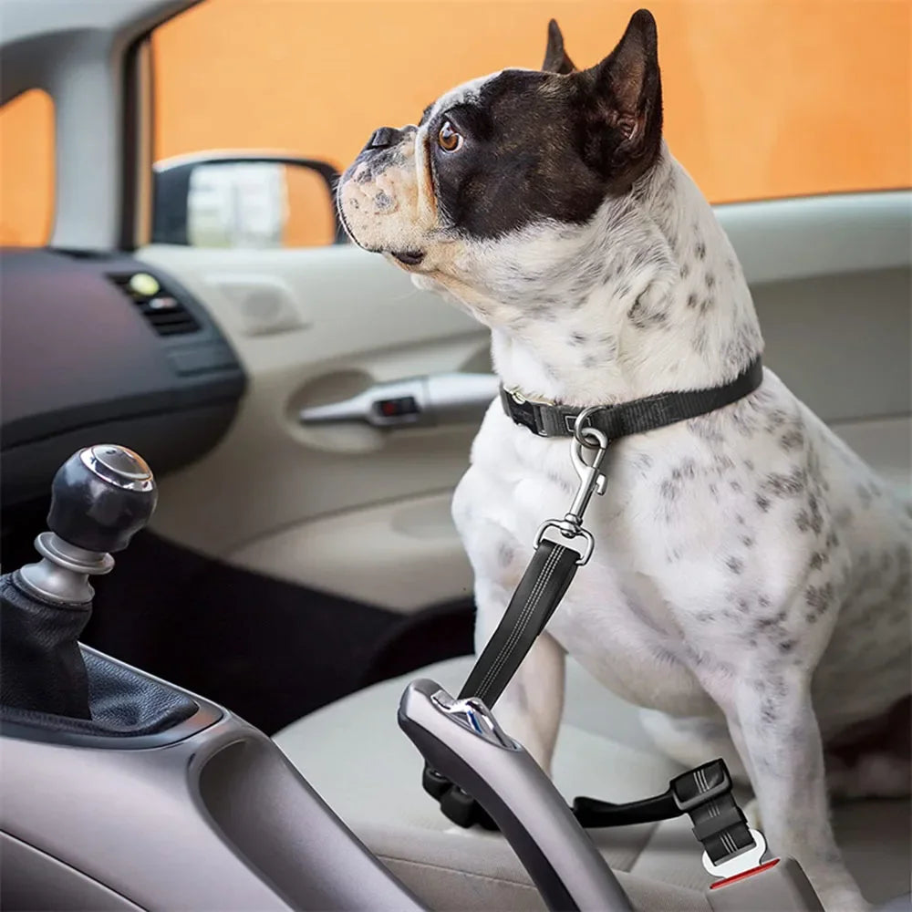 Dog Car Seat Belt – Adjustable, Durable & Available in Multiple Colors