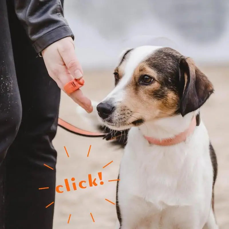 Dog Training Clicker – Lightweight, Portable & Easy to Use