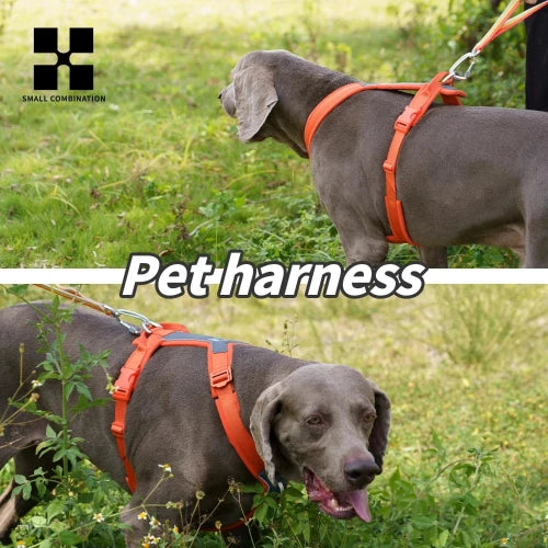 No-Pull Dog Harness – Reflective, Padded & Escape-Proof for All Sizes