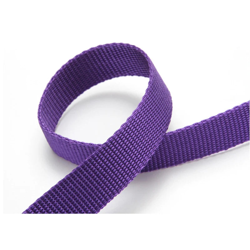 Car Backseat Safety Belt Solid Color Two-in-one Pet