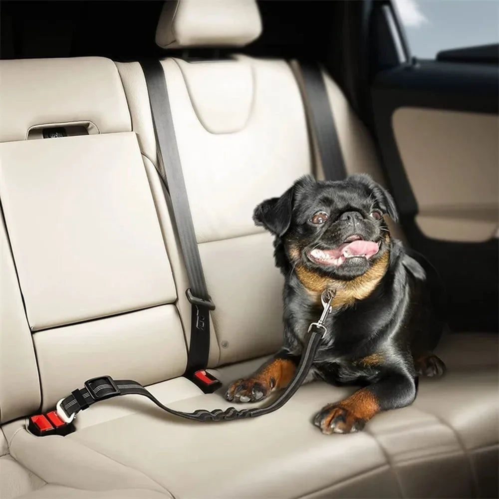 Dog Car Seat Belt – Adjustable, Durable & Available in Multiple Colors