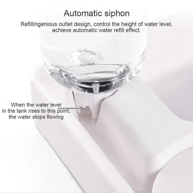 Automatic Pet Feeder & Water Dispenser