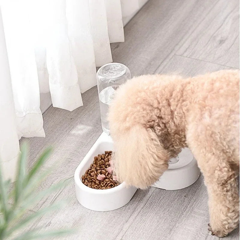 Automatic Pet Feeder & Water Dispenser