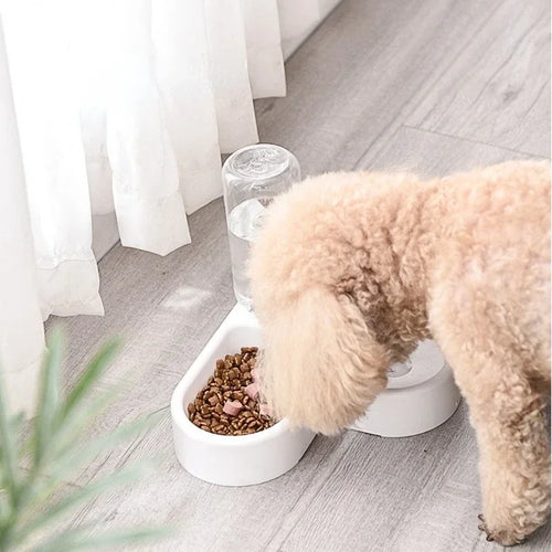 Automatic Pet Feeder & Water Dispenser