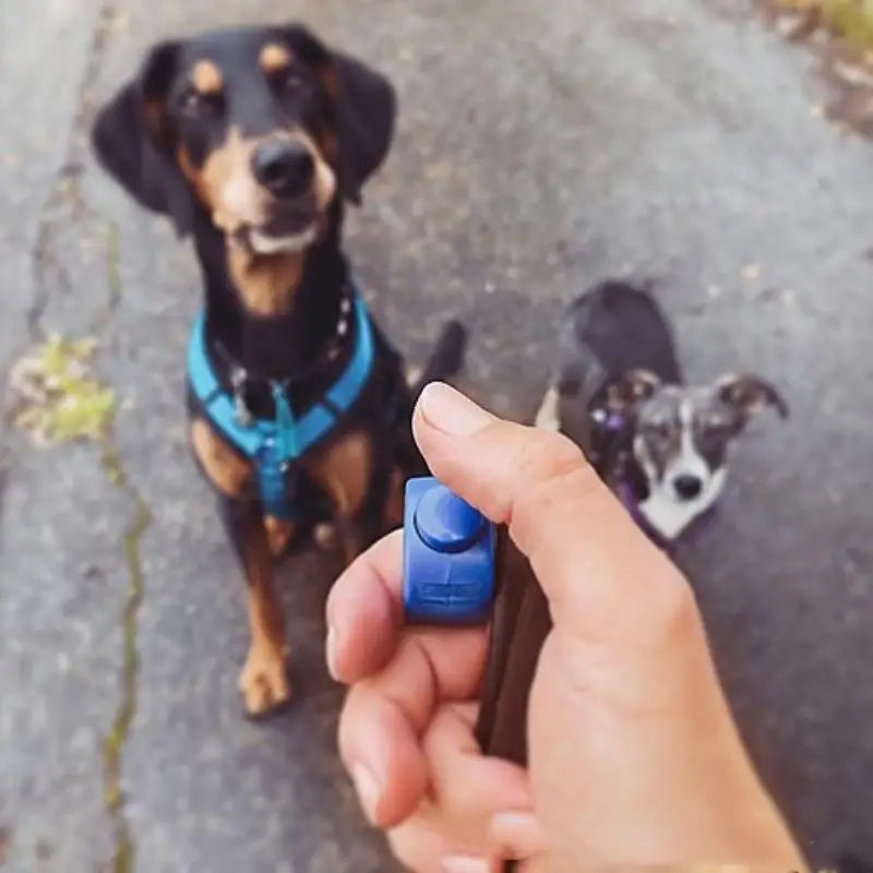 Dog Training Clicker – Lightweight, Portable & Easy to Use