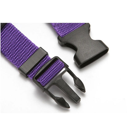 Car Backseat Safety Belt Solid Color Two-in-one Pet