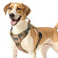 Premium No-Pull Dog Harness – Heavy Duty for Medium & Large Dogs
