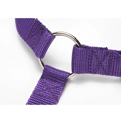 Car Backseat Safety Belt Solid Color Two-in-one Pet